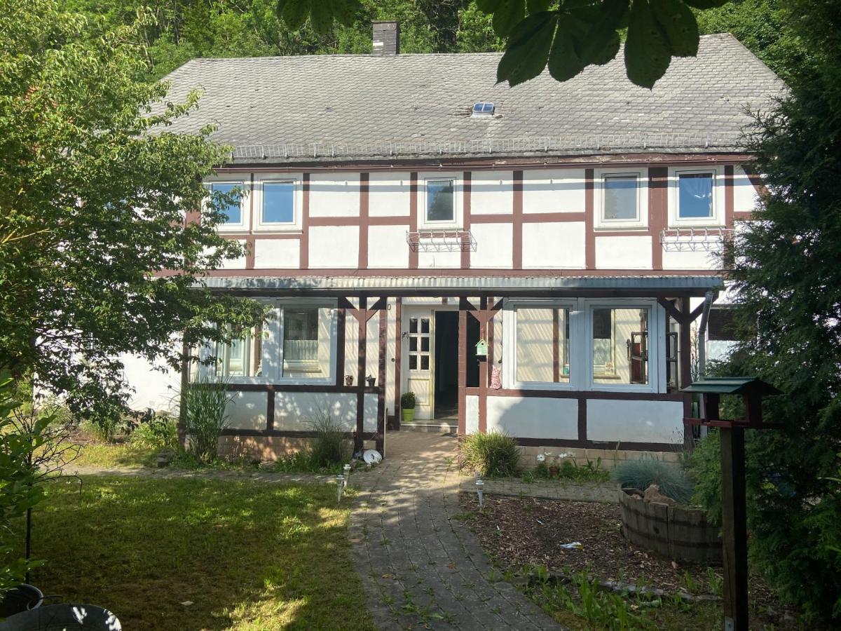 Zeitreise- Haus Mit 5 Schlafzimmern Diemelsee المظهر الخارجي الصورة